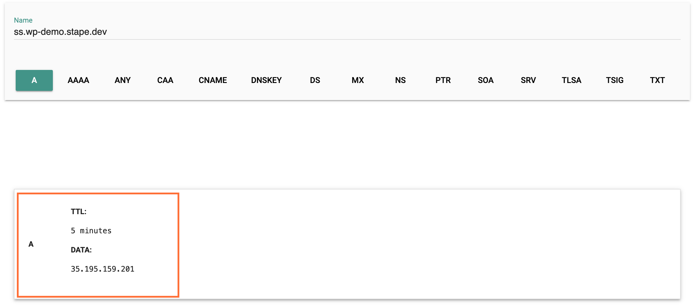 Successful DNS record.png